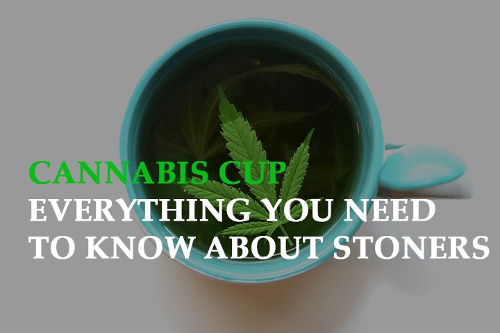 Cannabis Cup: Everything You Need to Know About Stoners’ New Favorite Show