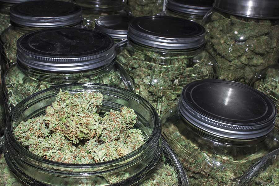Helpful Guide to Making Your Own DIY Cannabis Drying and Curing Racks