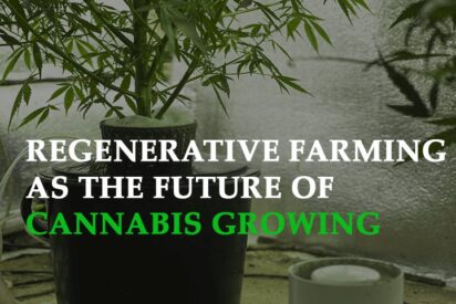 the science behind regenerative farming as the future Of cannabis growing