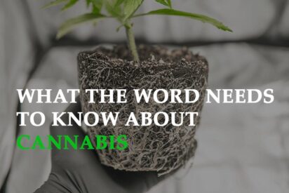 what the world needs to know about cannabis made eco car