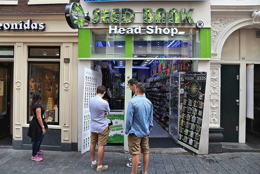 Are Seed Banks Legal in Canada?