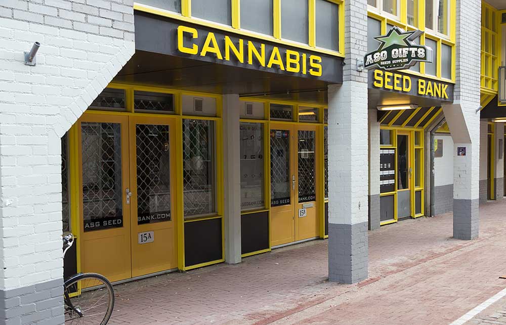 Can You Trust Online Cannabis Seed Banks?