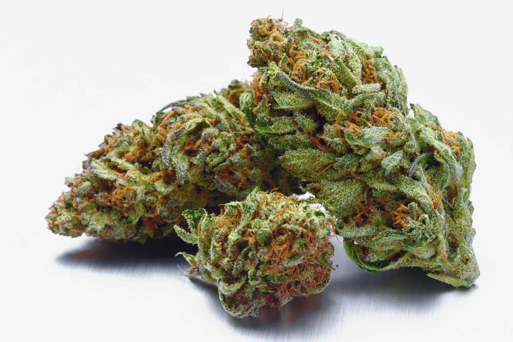 How Many Strains of Weed are There?