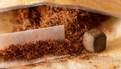 How to Make Hash from Male Cannabis Plant