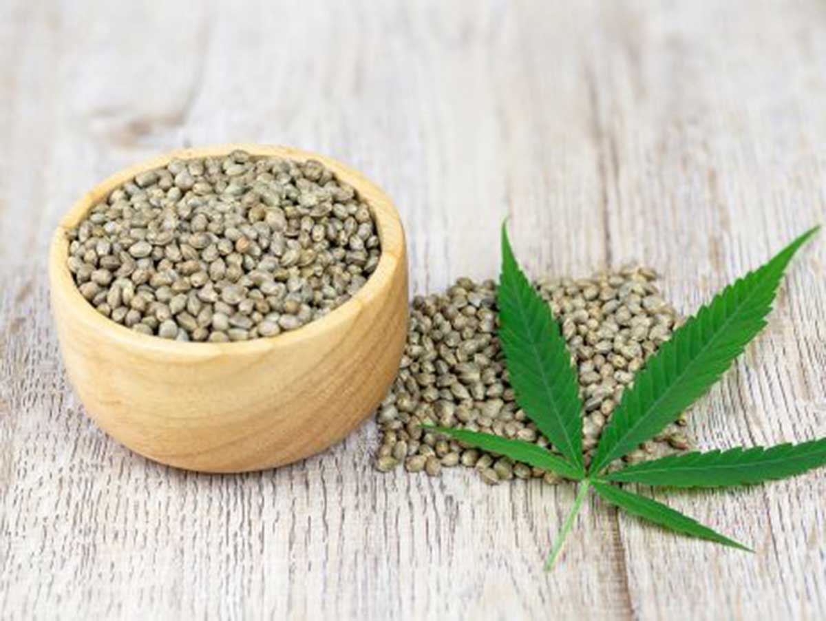The Role of Marijuana Seed Banks in Boosting the Cannabis Industry