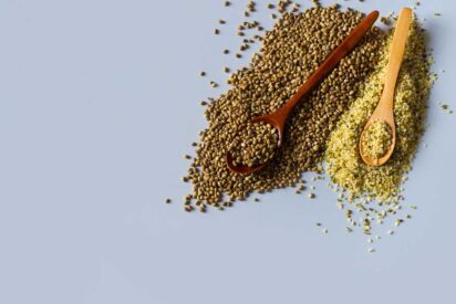 Top Marijuana Seeds in 2020