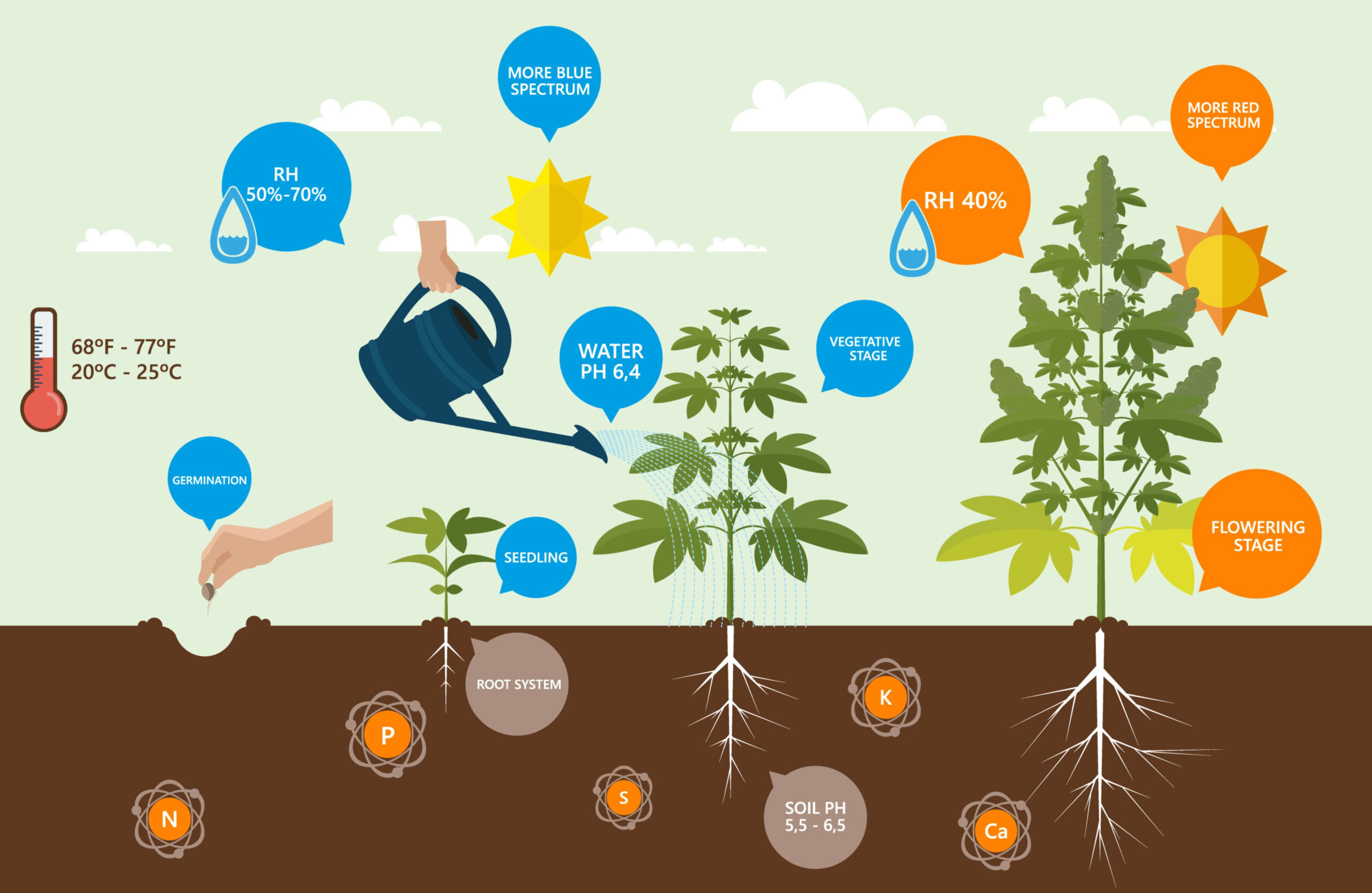 When to Feed Your Cannabis Plants Nutrients!